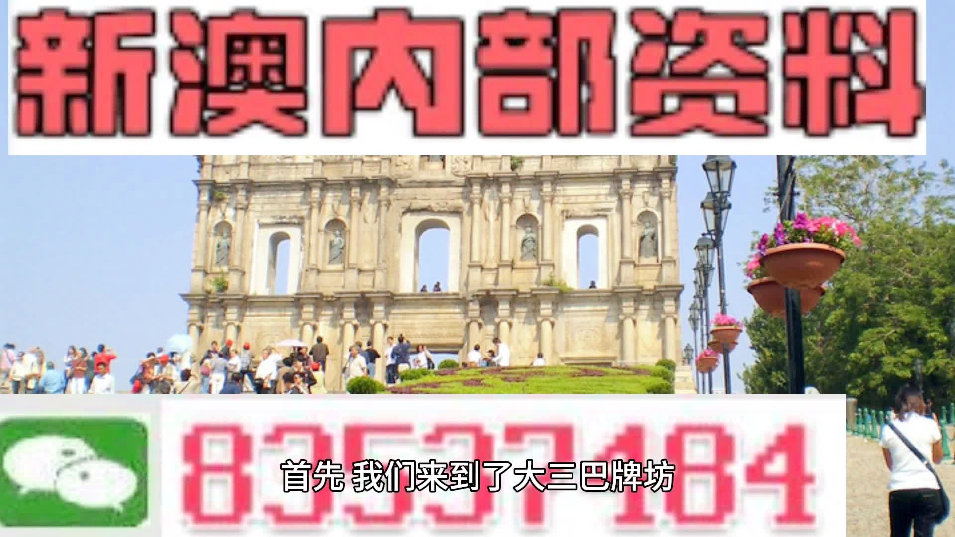 新澳2025全年正版资料免费资料公开|电信讲解解释释义