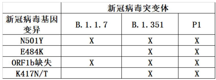 新病毒最新动态及其影响研究